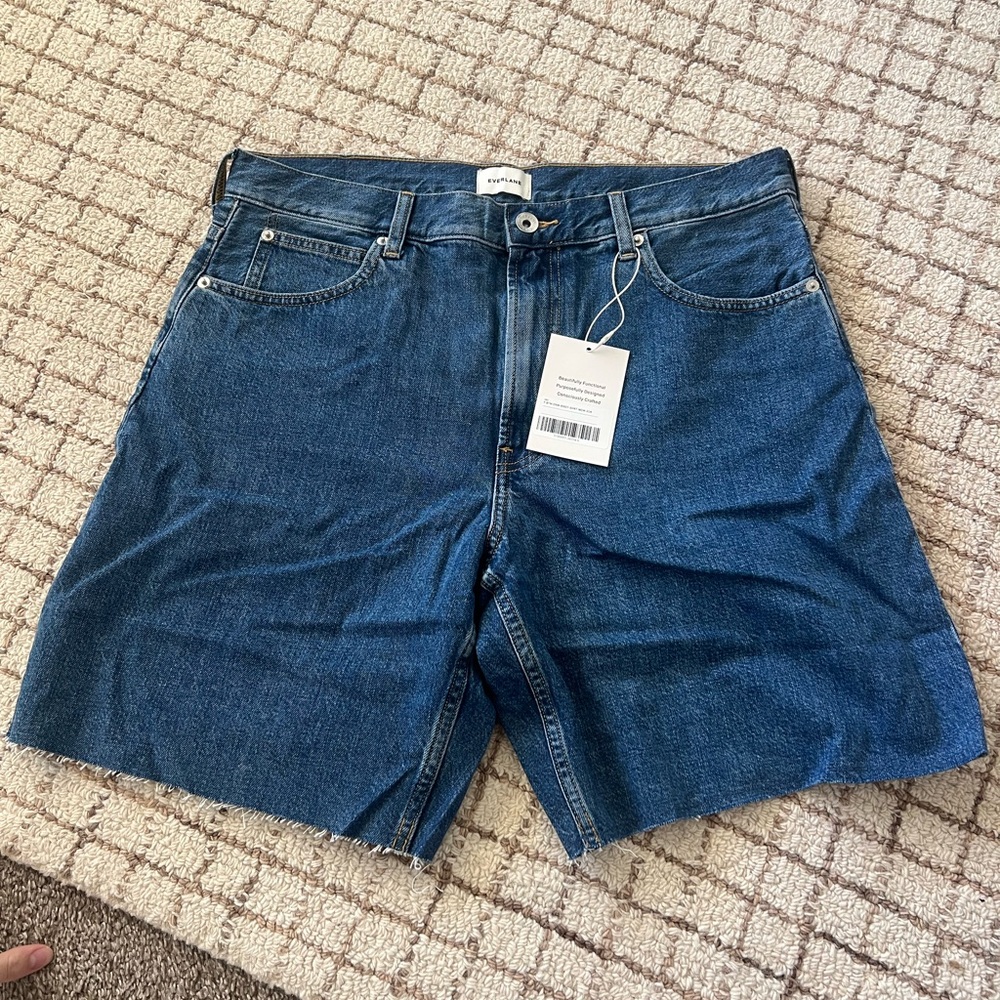 Everlane The OJ Baggy Jean Short